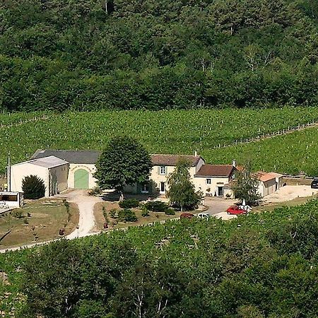 Domaine De Grand Homme Bordeaux Bagian luar foto