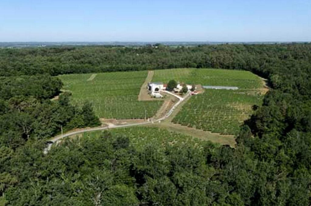 Domaine De Grand Homme Bordeaux Bagian luar foto